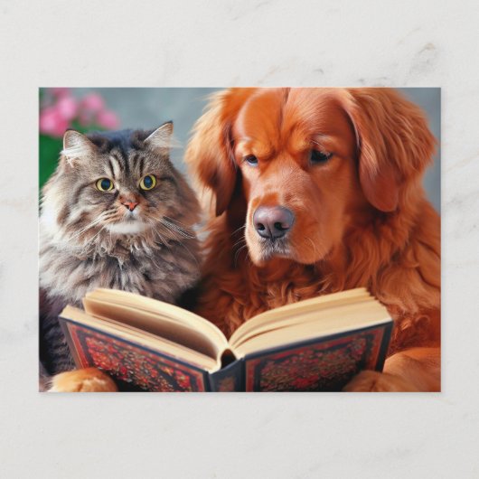 Katze und Hund lesen ein Buch Postkarte (Vorderseite)