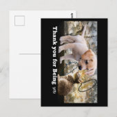 Katze und Hund mit Text danke Postkarte (Vorne/Hinten)