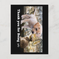 Katze und Hund mit Text dankeschön