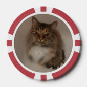 Katze und Hund Pokerchips (Vorderseite)