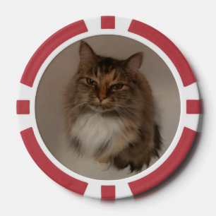Katze und Hund Pokerchips