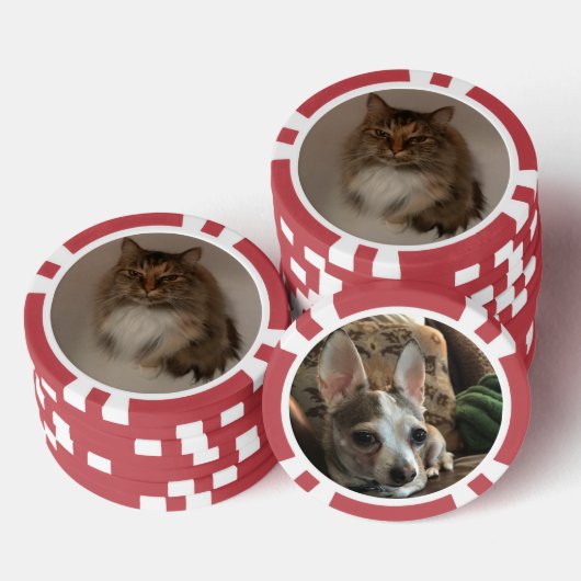 Katze und Hund Pokerchips (Stapel)