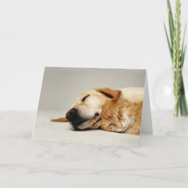 Katze und Hund schlafen zusammen... Karte