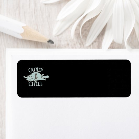 Katze und Kakkatze Kätzchen süß (Insitu)