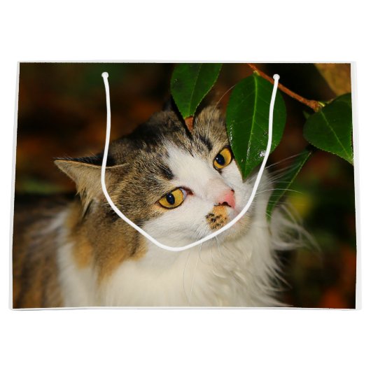 Katze und Kamelien Große Geschenktüte (Vorderseite)