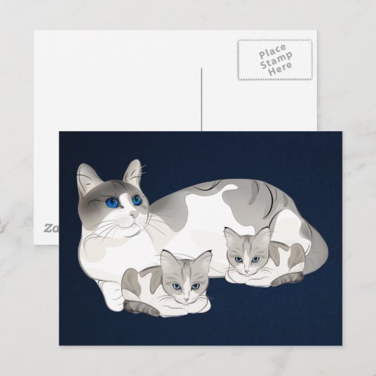 Katze und Kätzchen Postkarte (Vorne/Hinten)