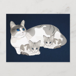 Katze und Kätzchen Postkarte