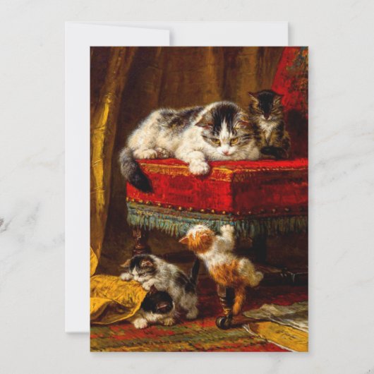 Katze und Kätzchen spielen mit Stuhl Einladung (Vorderseite)