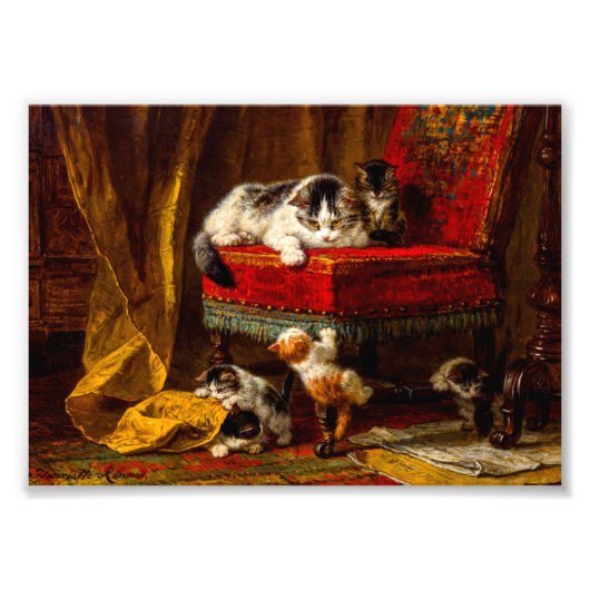 Katze und Kätzchen spielen mit Stuhl Fotodruck (Vorne)