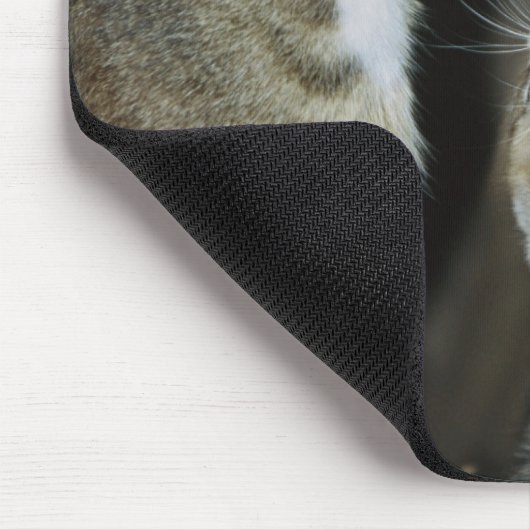 Katze und Kitten von Bäumen Mousepad (Ecke)