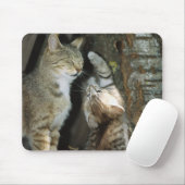 Katze und Kitten von Bäumen Mousepad (Mit Mouse)