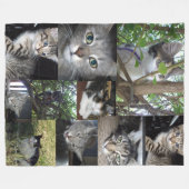 Katze- und KittenfotoCollage, Fleecedecke (Vorderseite (Horizontal))