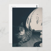 Katze- und Lampennoir-Style-Fotografie Postkarte (Vorne/Hinten)