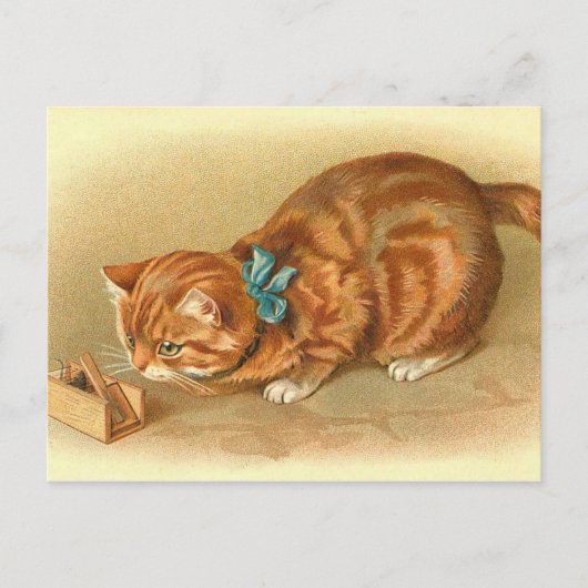 "Katze und Maus" Postkarte (Vorderseite)