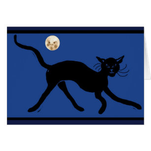 Katze und Mond