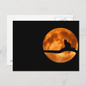 Katze und Mond Postkarte (Vorne/Hinten)