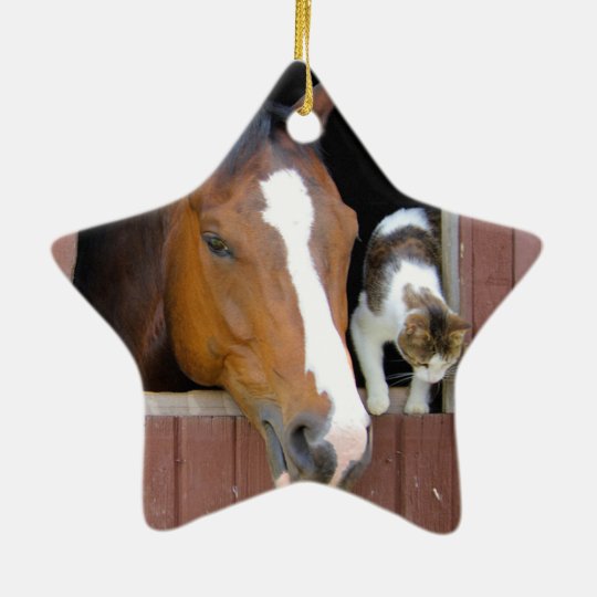 Katze und Pferd - Pferderanch - Pferdeliebhaber Keramik Stern-Ornament