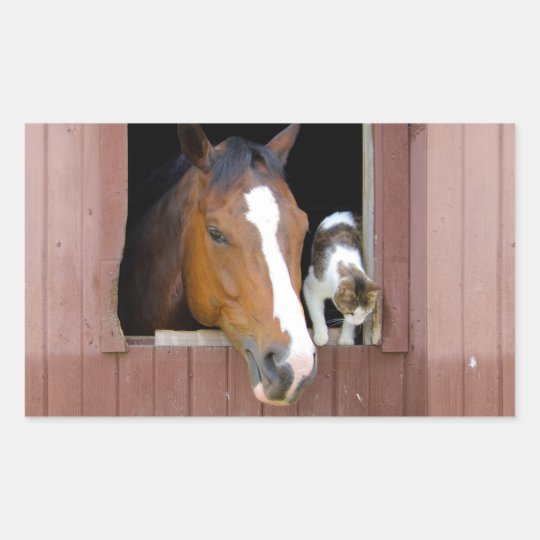 Katze und Pferd - Pferderanch - Pferdeliebhaber Rechteckiger Aufkleber
