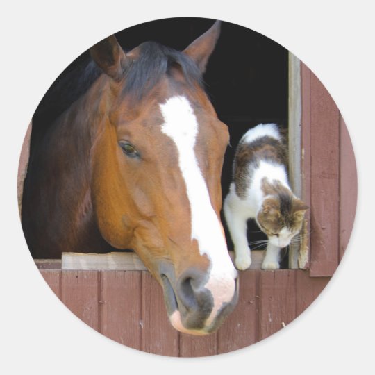 Katze und Pferd - Pferderanch - Pferdeliebhaber Runder Aufkleber