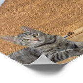 Katze und Pyramide. Poster (Ecke)
