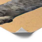 Katze und Pyramide. Poster (Ecke)