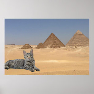 Katze und Pyramide. Poster