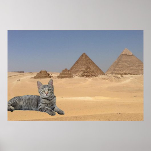 Katze und Pyramide. Poster (Vorne)