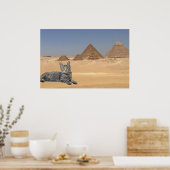 Katze und Pyramide. Poster (Küche)