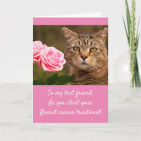 Katze und Rose Brustkrebs