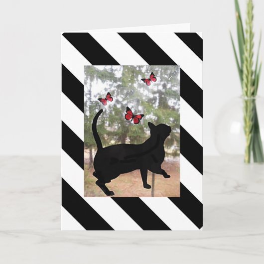 Katze und Schmetterling, schwarz, weiß gestreift G Karte (Vorderseite)