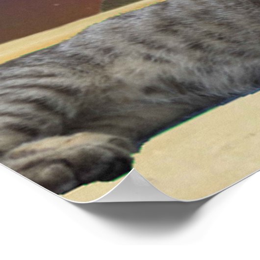 Katze und Sphinx. Poster (Ecke)