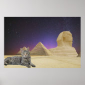 Katze und Sphinx. Poster (Vorne)