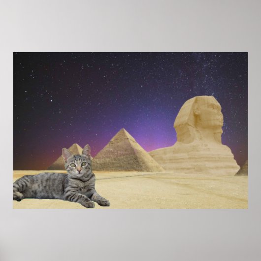 Katze und Sphinx. Poster (Vorne)