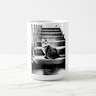 Katze und Treppe Kaffeetasse