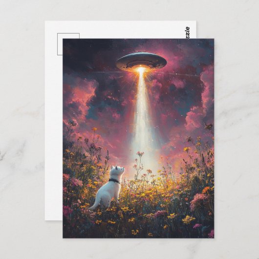 Katze und UFO Postkarte (Vorne/Hinten)