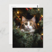 Katze und Weihnachtsbaum Postkarte (Vorne/Hinten)