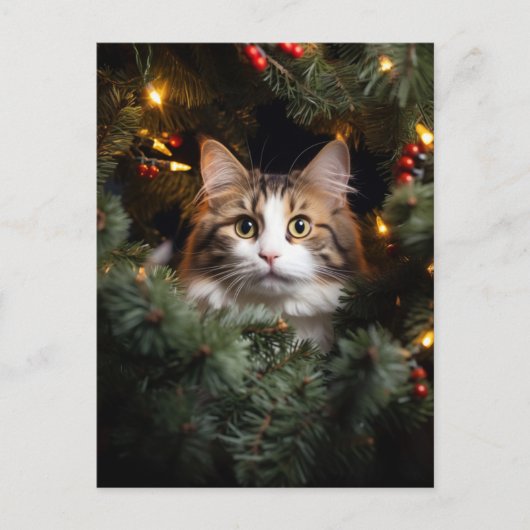 Katze und Weihnachtsbaum Postkarte (Vorderseite)