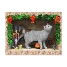 Katze und Weihnachtssachen