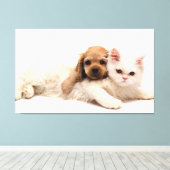 Katze und Welpe Leinwanddruck (Insitu (Holzboden))