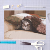 Katze unter Deckpapier Seidenpapier (Handwerk)