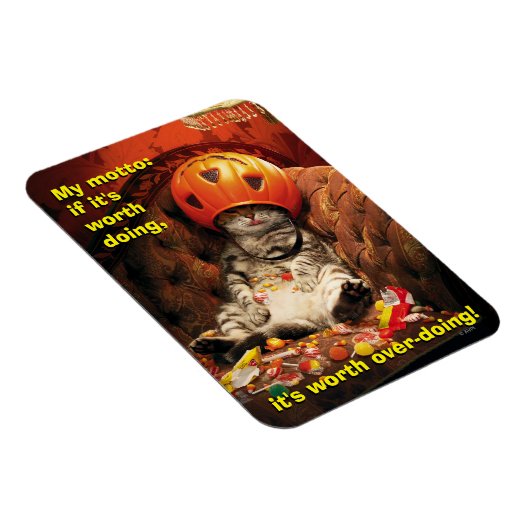 Katze unter dem Candy Ecket Magnet (Rechte Seite)