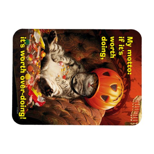 Katze unter dem Candy Ecket Magnet (Horizontal)