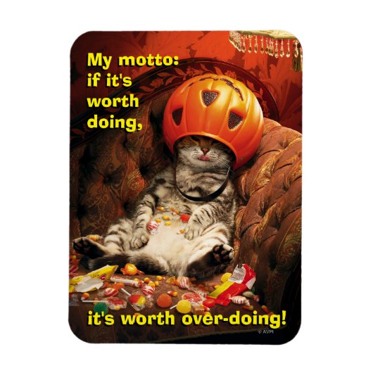 Katze unter dem Candy Ecket Magnet (Vertikal)