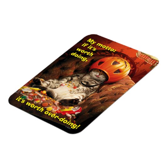 Katze unter dem Candy Ecket Magnet (Linke Seite)