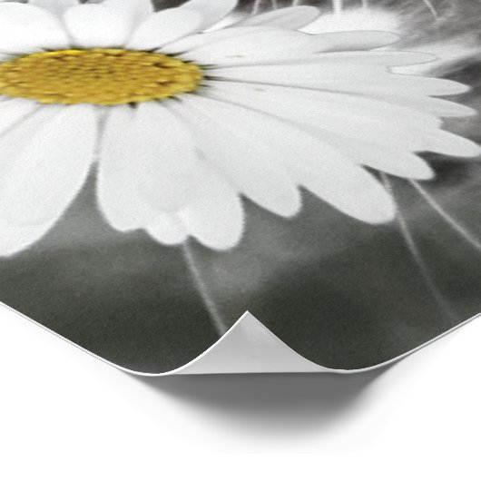 Katze unter den Daisis Poster Print (Ecke)