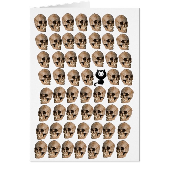 Katze unter den Schädeln (Vorne)