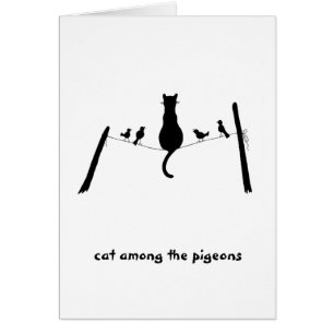 Katze unter den Tauben