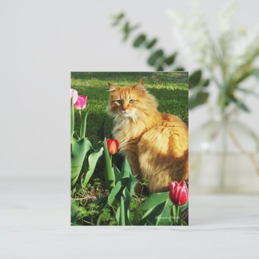 Katze unter den Tulips Postkarte (Stehend Vorderseite)