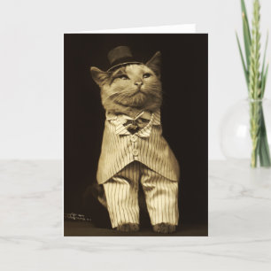 Katze verkleidet von 1906 Vintage-Grußkarte Karte