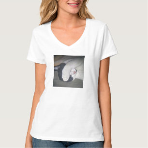 KATZE versteck dich Shirt süße Pose versteckt Gesi